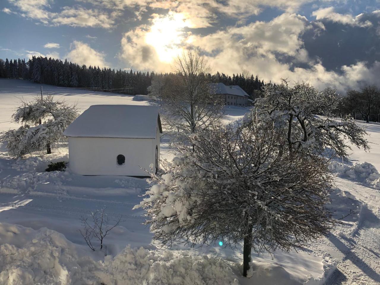 Ferienbauernhof Koller Villa Helfenberg Exterior foto